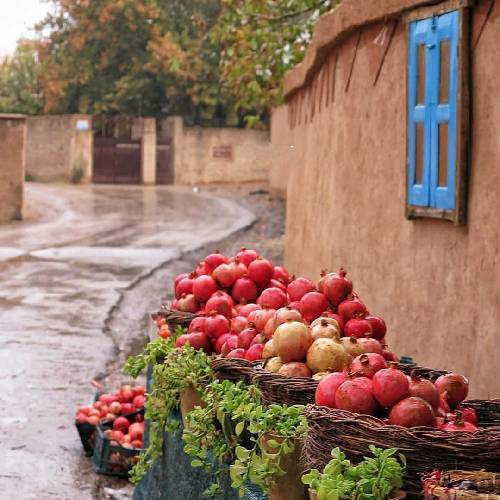  گنج کجاست آخرم نیافتمش چه روی قاف